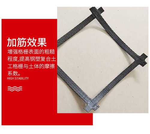 吕梁钢塑土工格栅免邮样品 吕梁塑料钢塑土工格栅