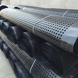 阿坝州钢塑土工格栅厂家直销