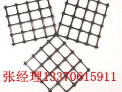 广东钢塑复合土工格栅厂家 中国泰安工程材料