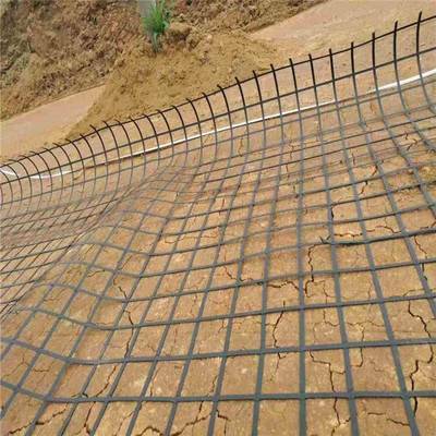 公路铁路路堤路基加固深海作业堤岸用钢塑土工格栅