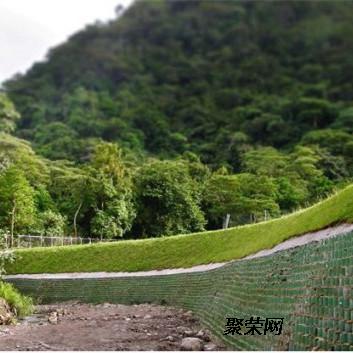 贵州修文 垂直绿化钢塑土工格栅 植物攀爬网 绿色土工格栅