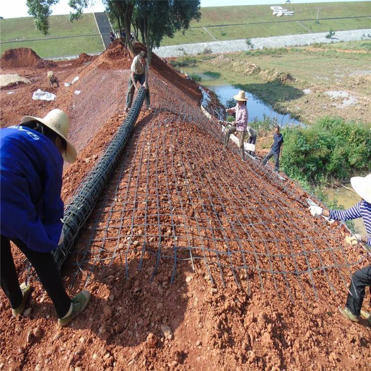 辽宁阜新市公路铁路路基工程钢塑土工格栅 挡土墙工程用钢塑土工格栅