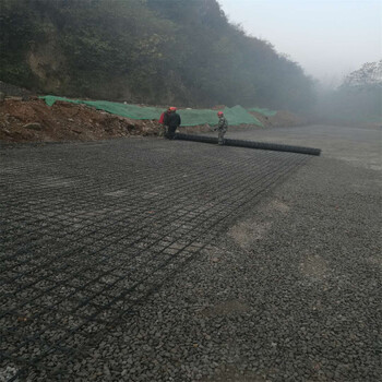 钢塑土工格栅钢塑格栅路基加固挡土墙软基处理80-80