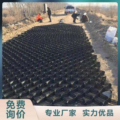土工格室【凸结点钢塑土工格栅】产地工厂