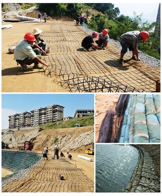 水稳层用修路工程用钢塑土工格栅80-80kn