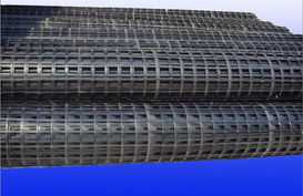 钢塑土工格栅检测施工效果好 邯郸钢塑土工格栅 水木工程材料高清图片 高清大图