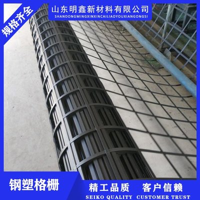 景德镇钢塑土工格栅-实体工厂
