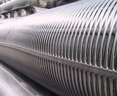 龙口钢塑土工格栅批发价现在是什么价格