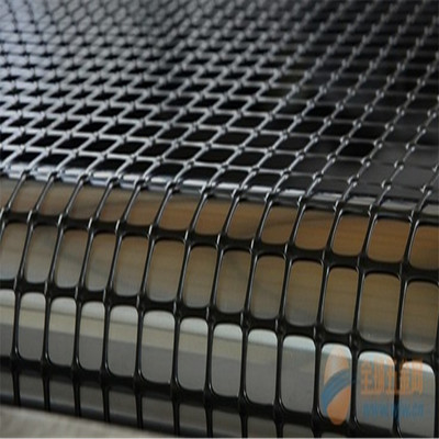 钢塑土工格栅_钢塑土工格栅 双向土工格栅用 工程及土地养护 