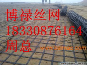 钢塑土工格栅,钢塑土工格栅生产厂家,钢塑土工格栅价格