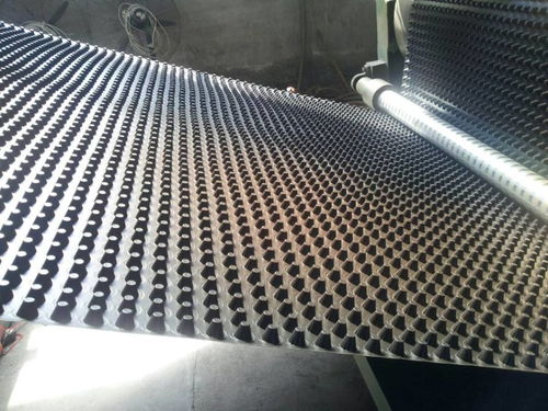 钢塑土工格栅河北实体公司