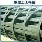 岭东区 钢塑土工格栅 13854888359_建筑建材_世界工厂网