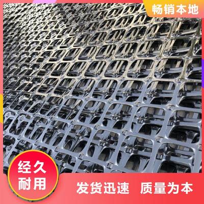 钢塑土工格栅