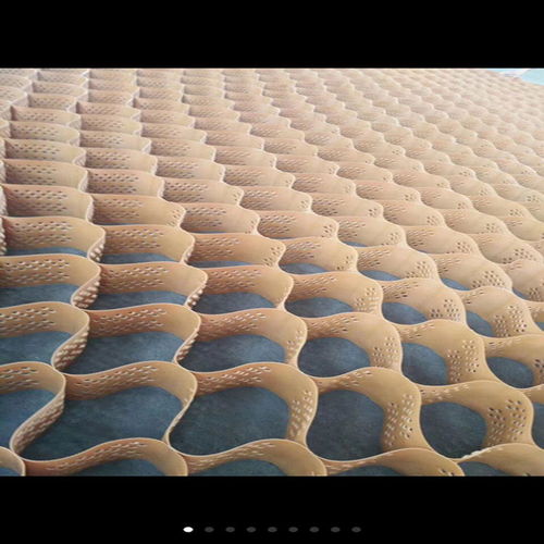 钢塑土工格栅锡林郭勒 包邮