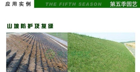 喀什钢塑格栅工厂与山东土工材料基地 钢塑土工格栅产业的地理纽带